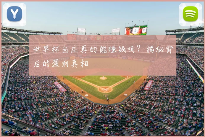 世界杯当庄真的能赚钱吗?揭秘背后的盈利真相