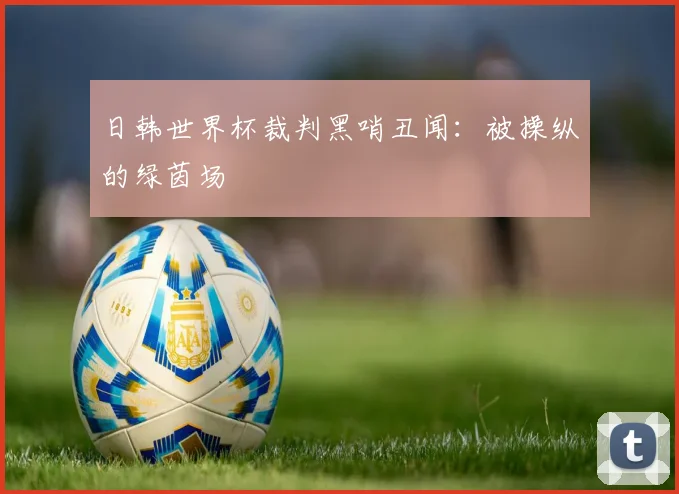 日韩世界杯裁判黑哨丑闻:被操纵的绿茵场