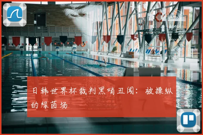 日韩世界杯裁判黑哨丑闻:被操纵的绿茵场