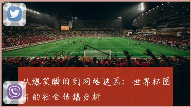 从爆笑瞬间到网络迷因：世界杯图片的社会传播分析