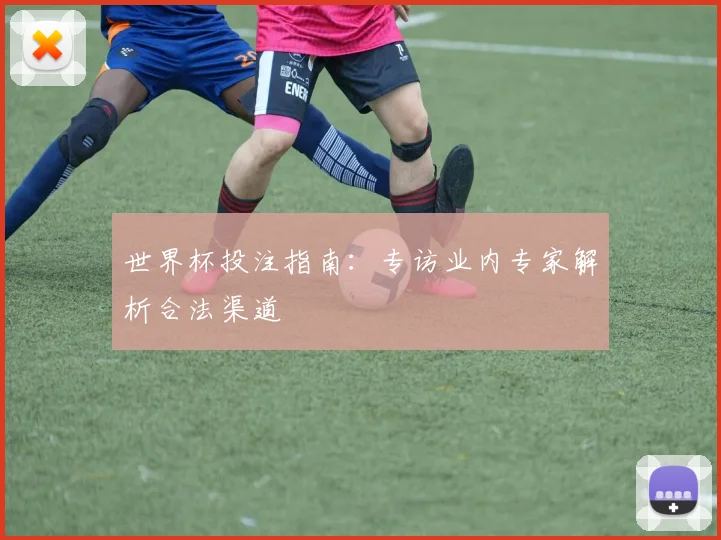 世界杯投注指南：专访业内专家解析合法渠道