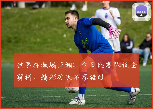 世界杯激战正酣：今日比赛队伍全解析，精彩对决不容错过